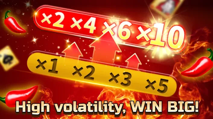 Exclusive Bonuses